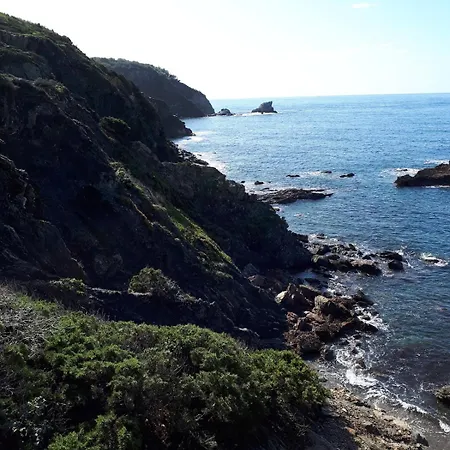 Horizon-vue Mer-plages-wifi-clim Villa Carqueiranne